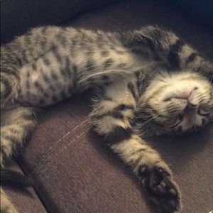 Meet your Posher, Cara